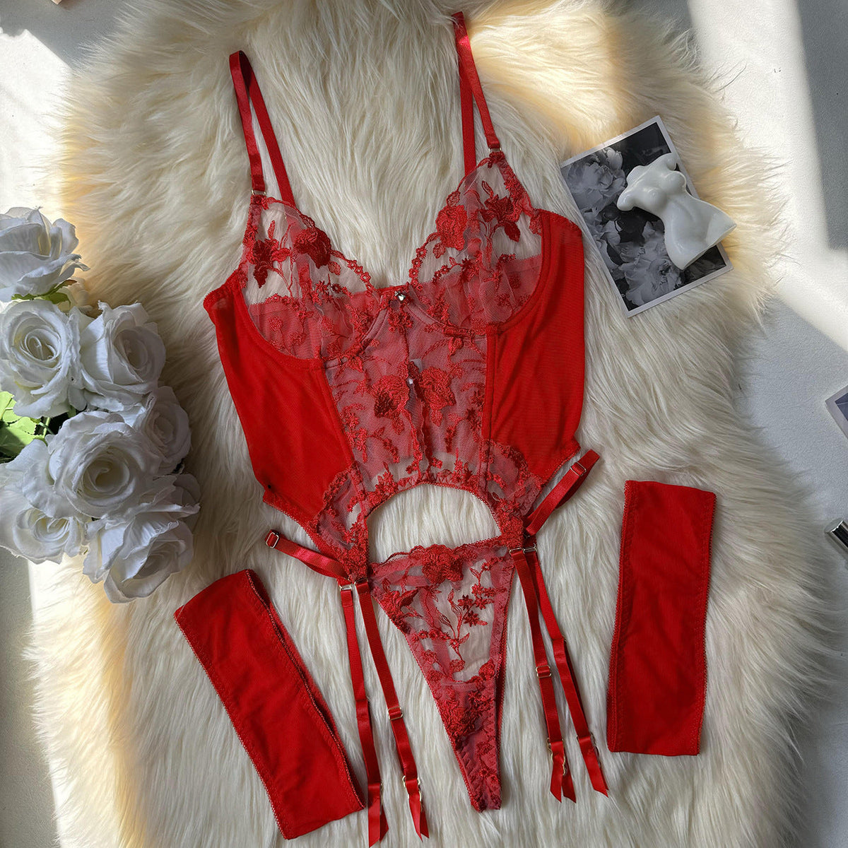 Embroidered Sheer Lingerie